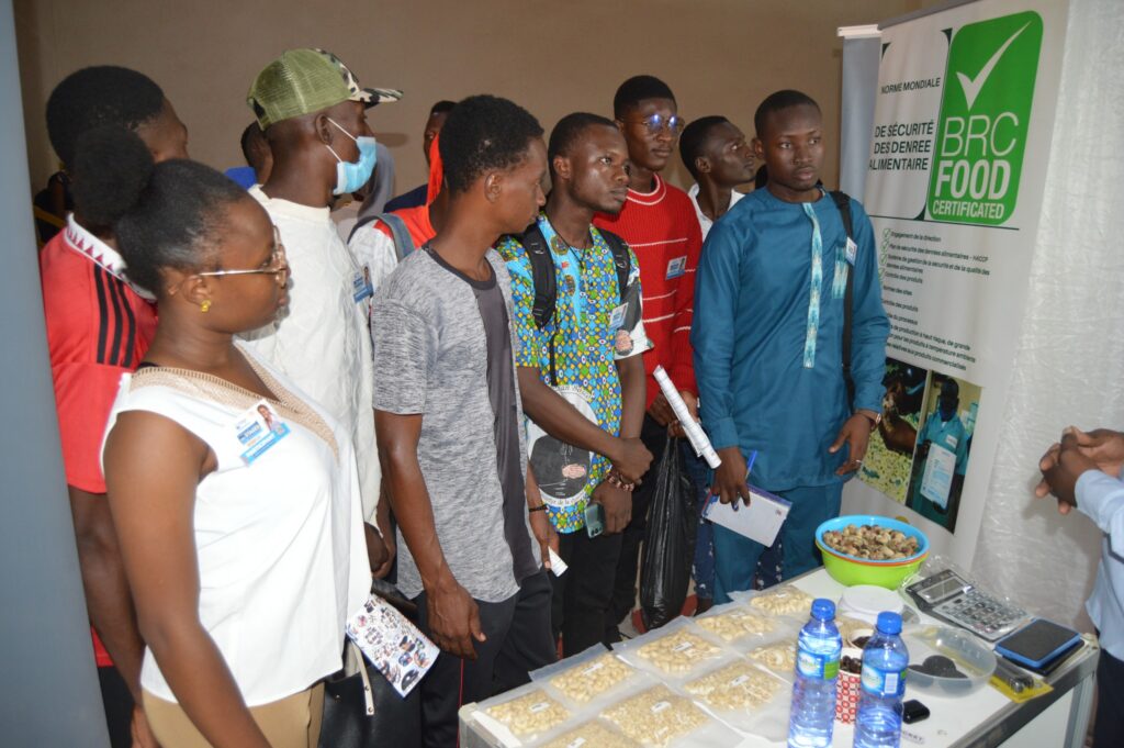 494090271 122202829136253093 5868568132324220328 n