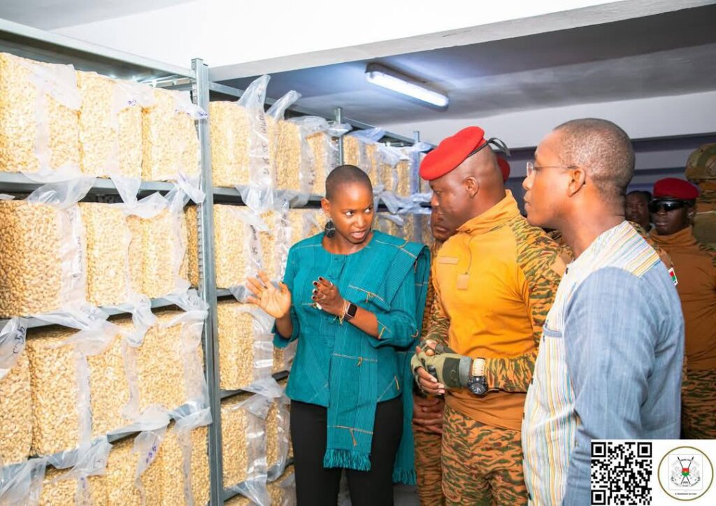 499870800 1243691967760861 6373497056198674176 n